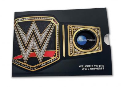WWE Brochure